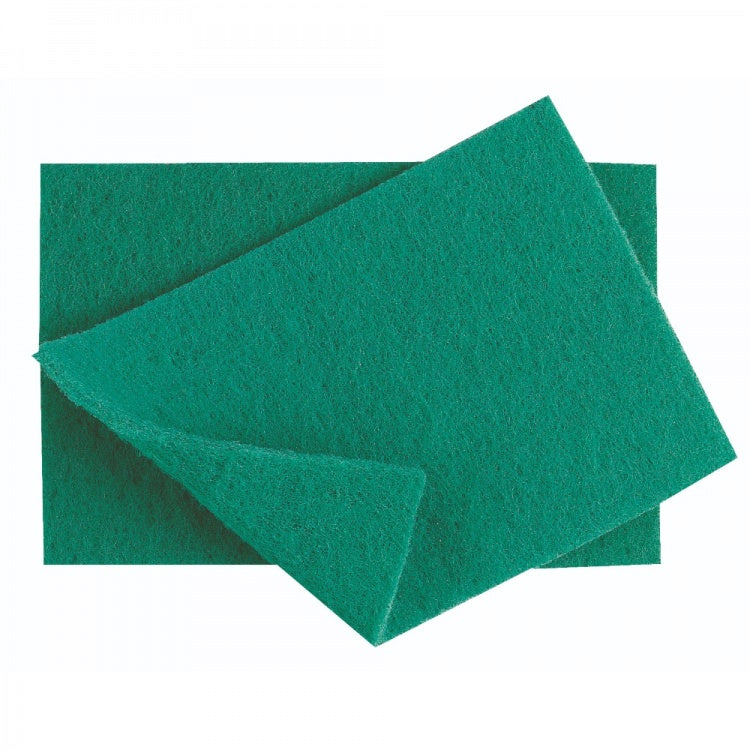 Caterer's Scourer (10)