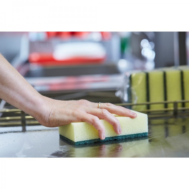 Caterer's Sponge Scourer (10)