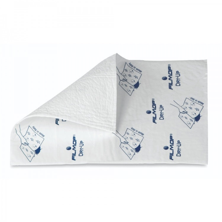 Absorbent Pads (10)