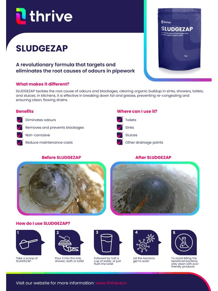Thrive SLUDGEZAP Drain Cleaner & Odour Eliminator | Powerful Bacteria-Based Drain Unblocker for Sinks, Toilets & Kitchens