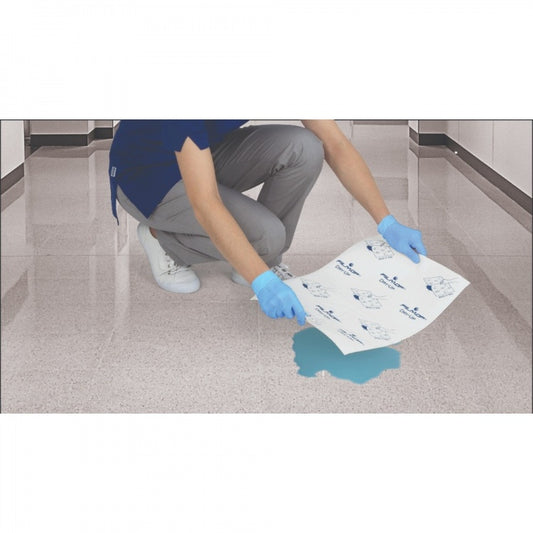 Absorbent Pads (10)