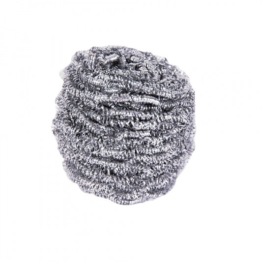 Stainless Steel Scourer (10)